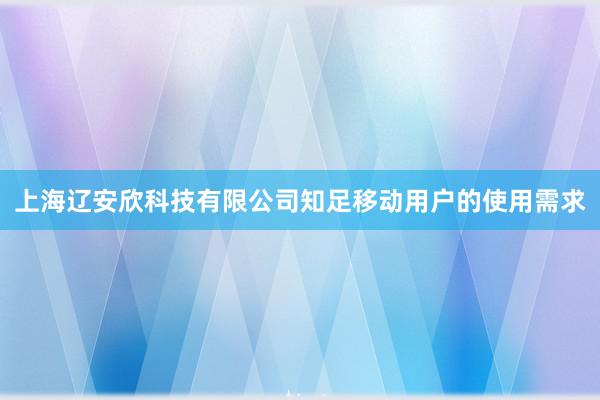 上海辽安欣科技有限公司知足移动用户的使用需求